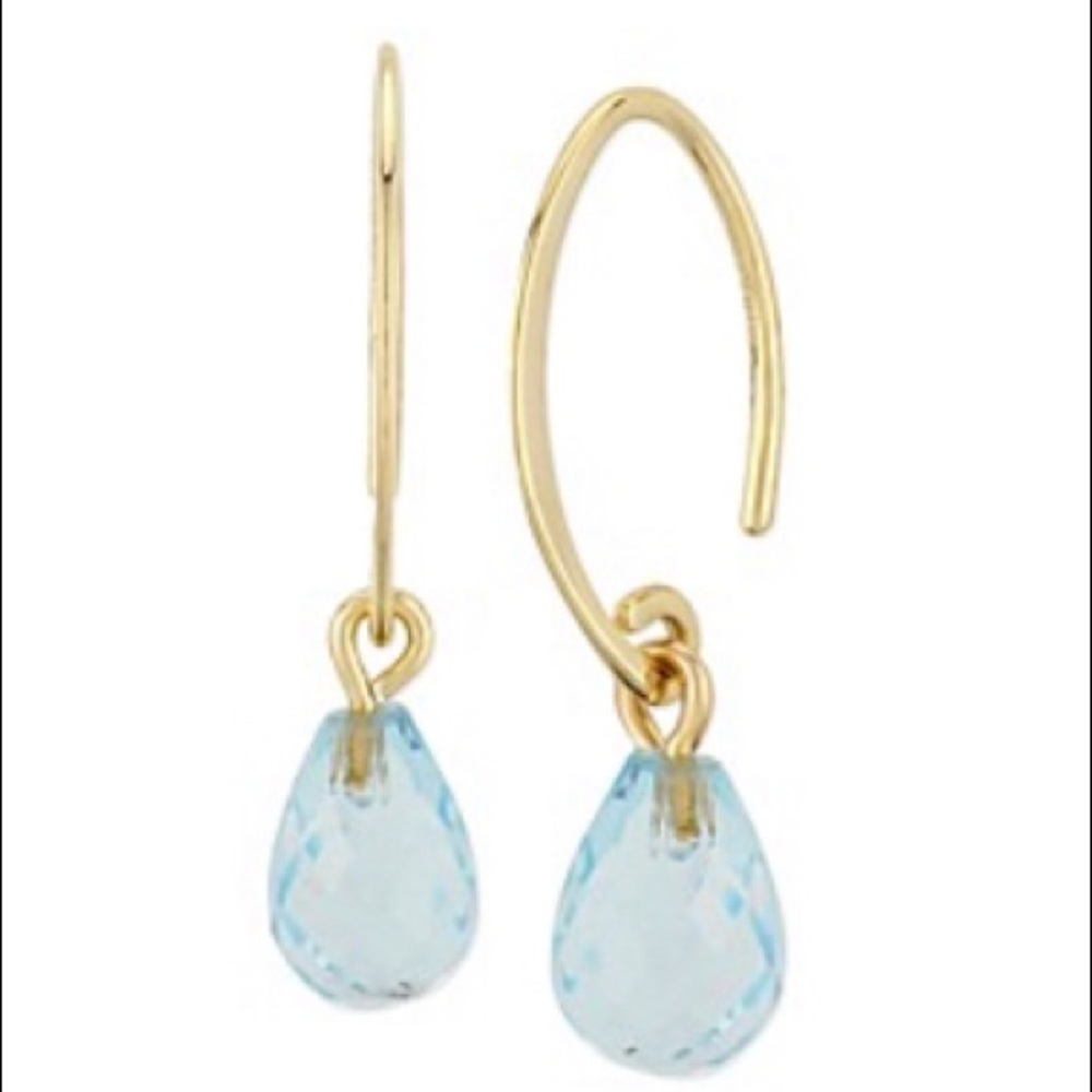 Gemstone Drop Earring-14k Yellow Gold & Blue Topaz